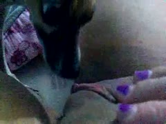 Big eyed dog looks thrilled as it tastes a perfectly bald college strumpets moist pussy in this movie scene